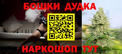 индика Можайск